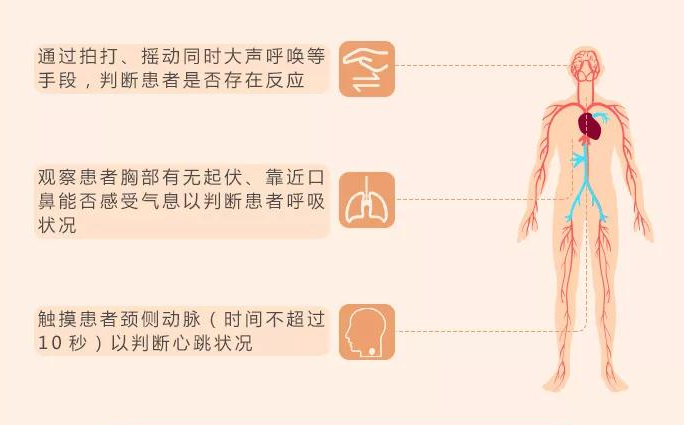 小學(xué)教師資格證