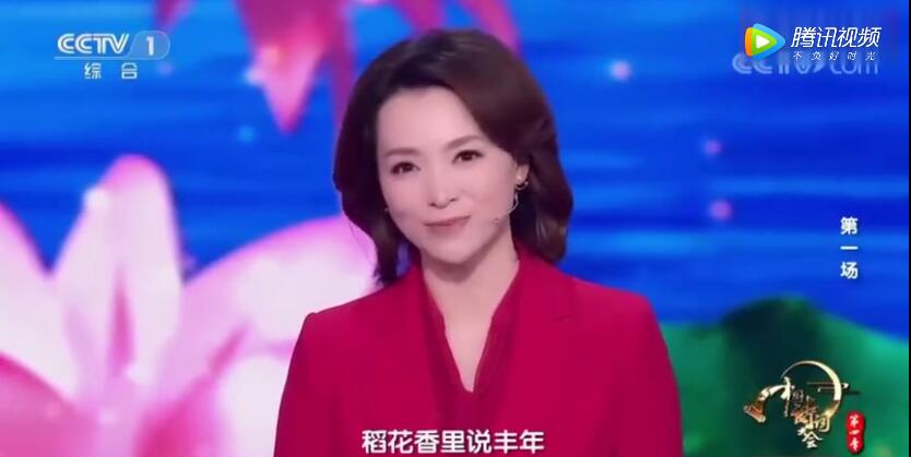 四川普通話,四川普通話水平測(cè)試,《中國(guó)詩詞大會(huì)》