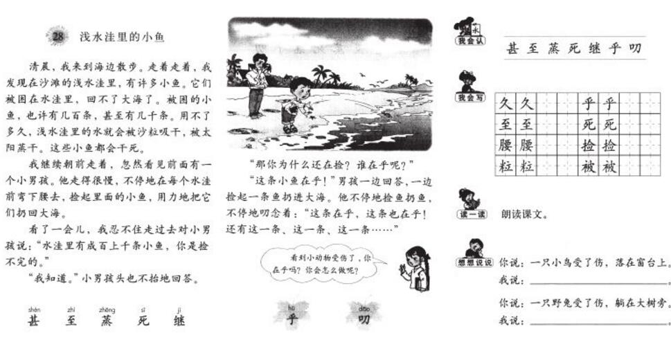 2020上半年四川小學(xué)教師資格證考試科目二考點(diǎn)真題整理復(fù)習(xí)(七)