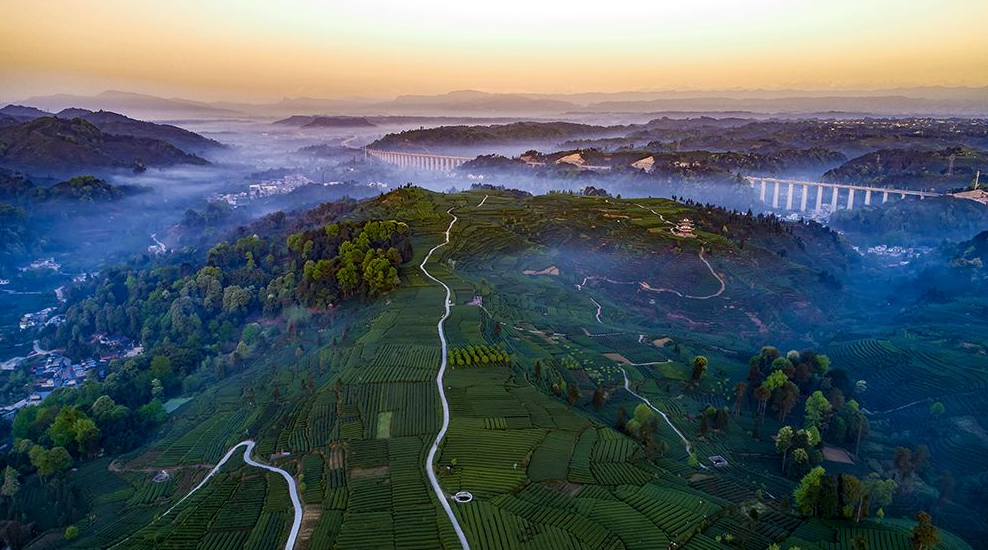 2020上半年雅安市名山區(qū)四川教師資格認(rèn)定報(bào)名時(shí)間與現(xiàn)場(chǎng)確認(rèn)地點(diǎn)已出