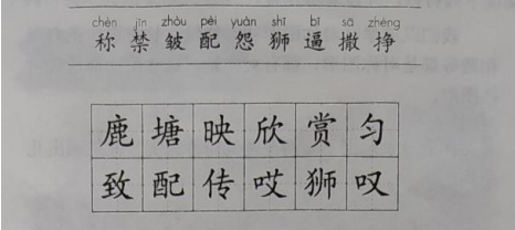 2021下半年四川小學(xué)教師資格筆試真題及答案（科目二）1